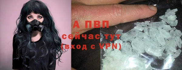ECSTASY Волоколамск
